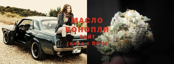 гашик Вязьма