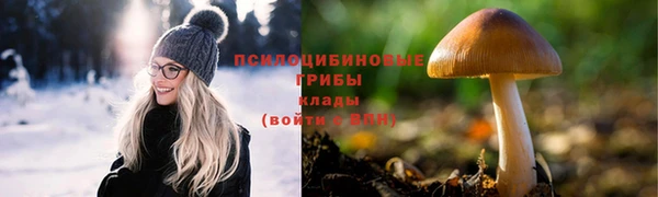 apvp Вяземский