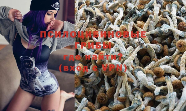 apvp Вяземский