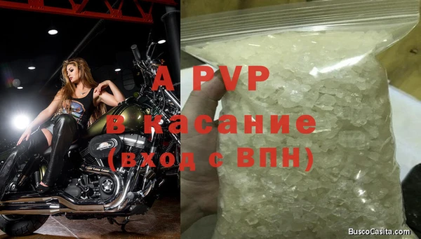 гашик Вязьма