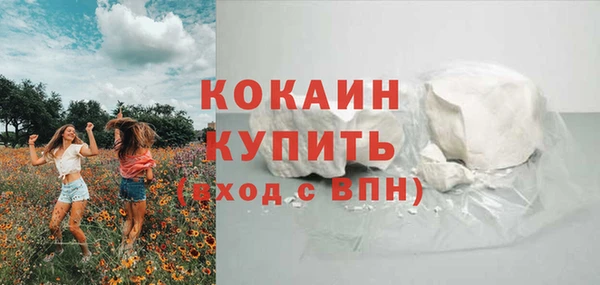 гашик Вязьма