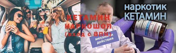 apvp Вяземский