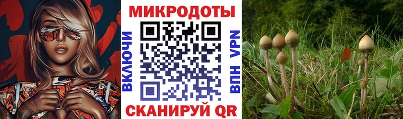 Псилоцибиновые грибы прущие грибы  Наро-Фоминск 